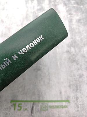 Игорь Сергеевич Грамберг - ученый и человек