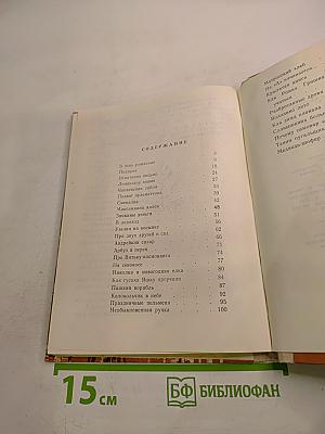 Максимкина аллея