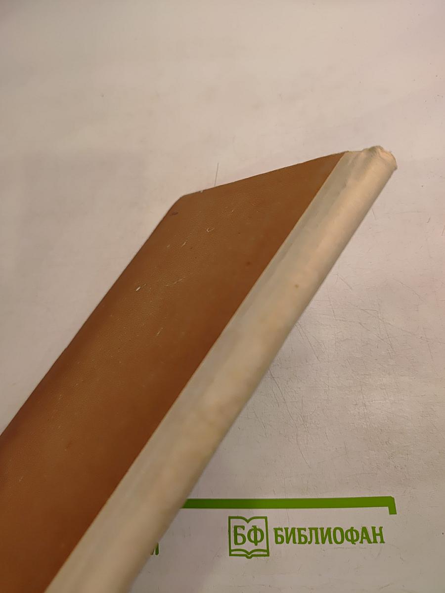 Максимкина аллея