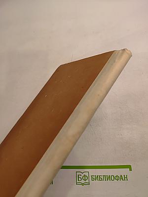 Максимкина аллея