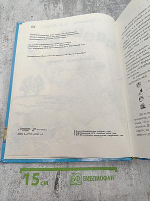 Чудесный город. Петербургская тетрадь