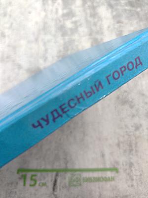 Чудесный город. Петербургская тетрадь