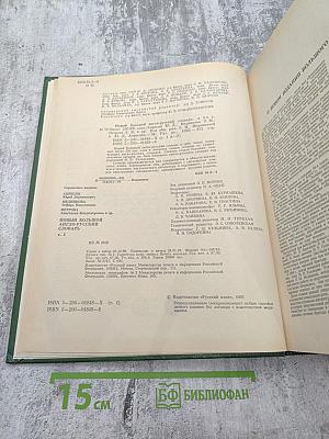 Новый Большой Англо-Русский Словарь. Том I