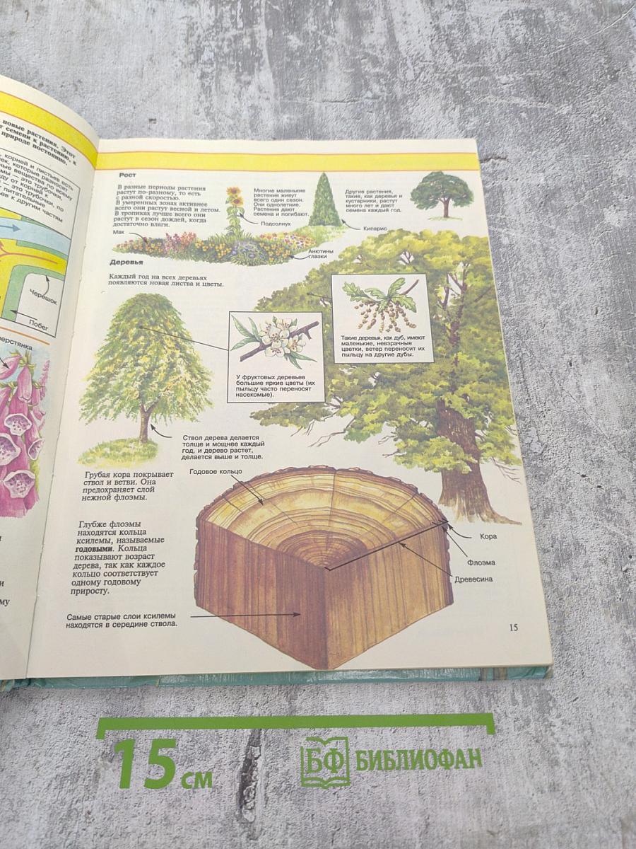 Живой мир. Энциклопедия