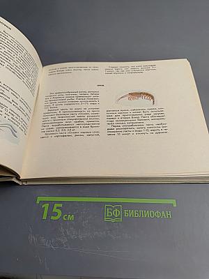 Дары Атлантики