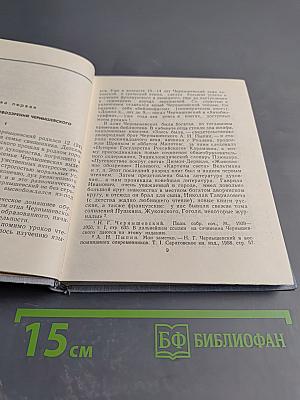 Н. Г. Чернышевский: Очерк жизни и деятельности
