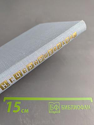 Н. Г. Чернышевский: Очерк жизни и деятельности