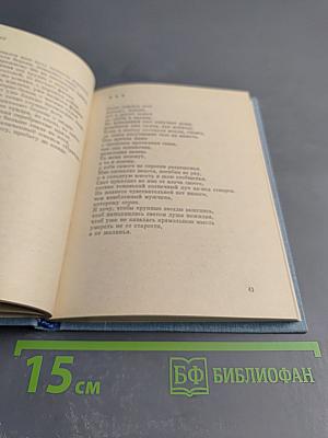 Солнце во дворе