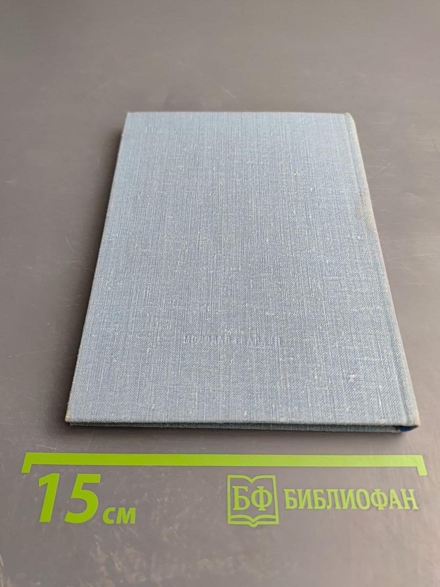 Солнце во дворе