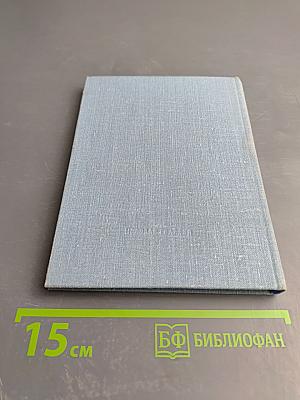 Солнце во дворе