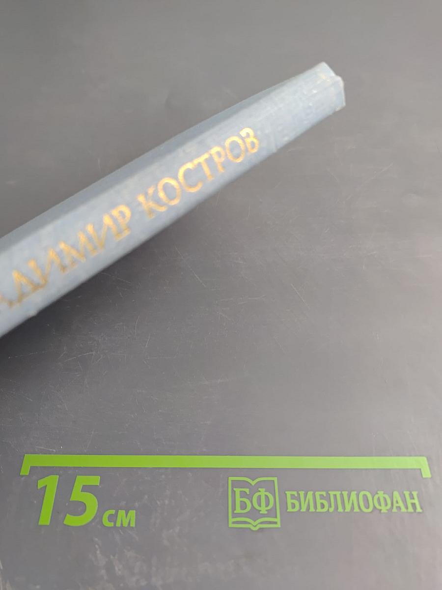 Солнце во дворе