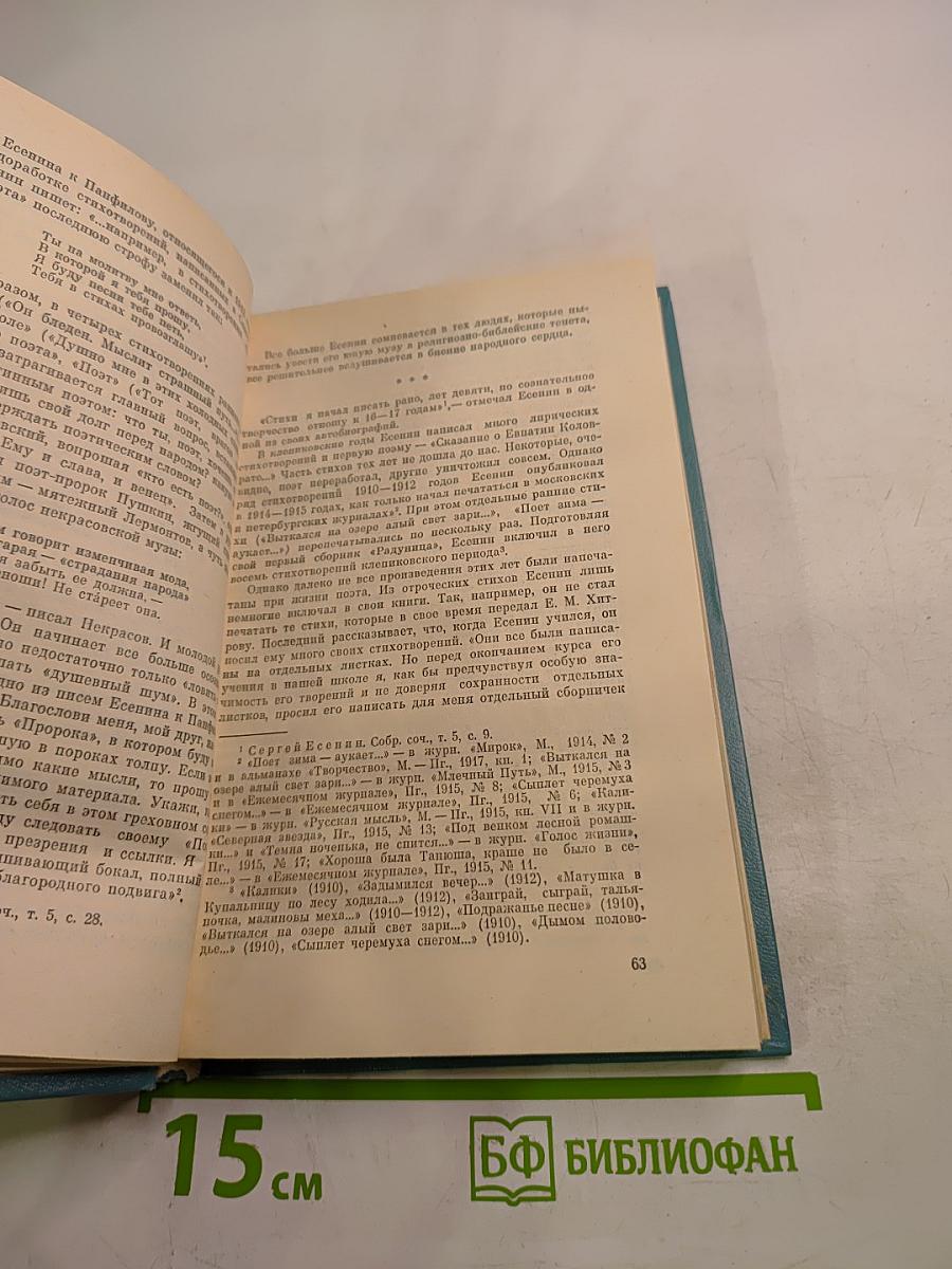 Сергей Есенин. Образ. Стихи. Эпоха