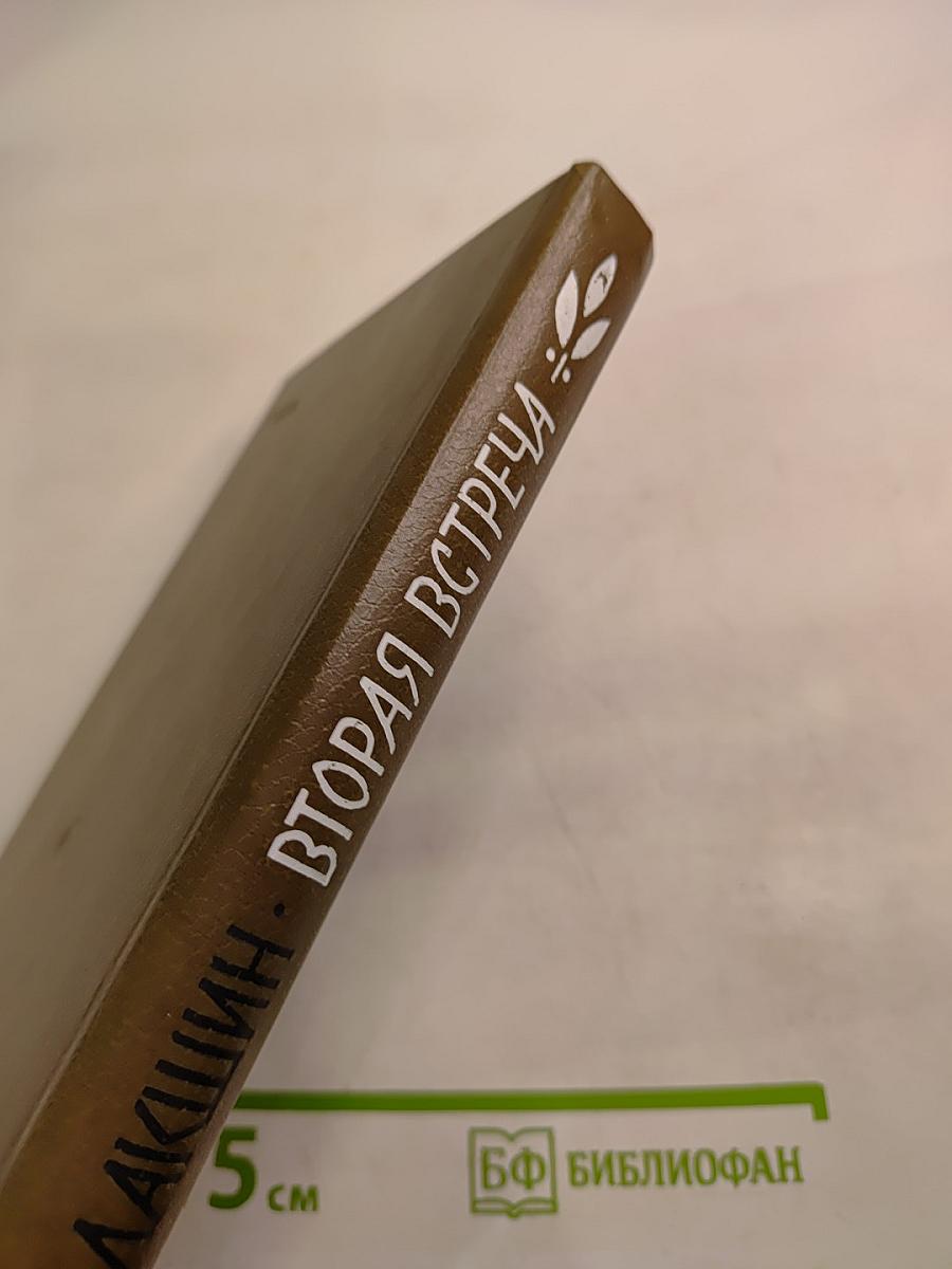 Вторая встреча