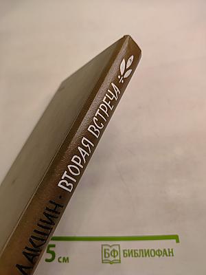 Вторая встреча