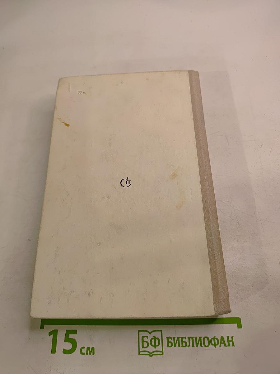 Первая зима