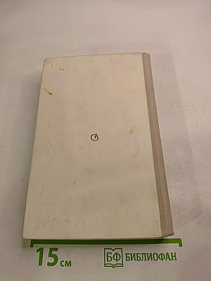 Первая зима