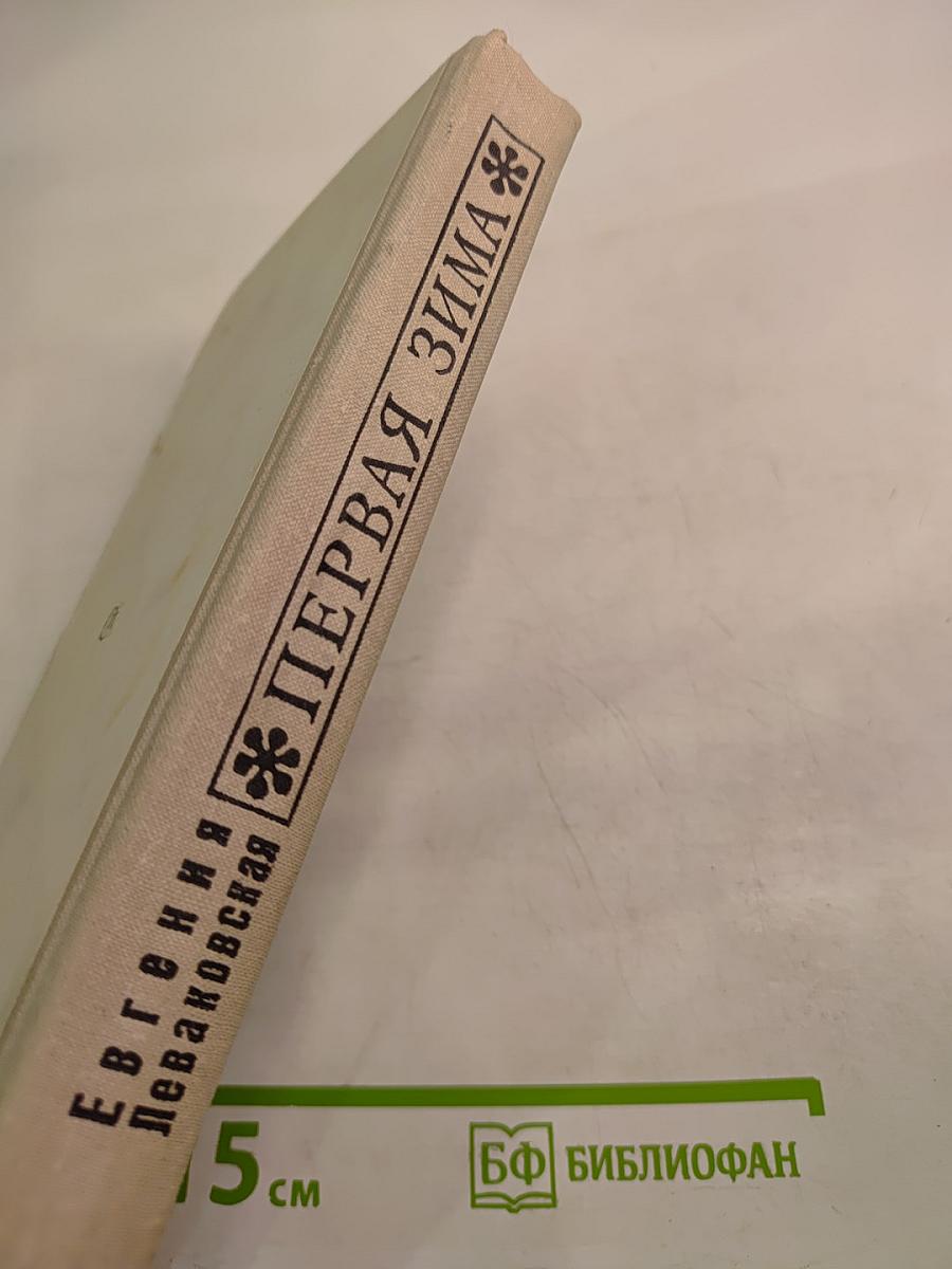 Первая зима