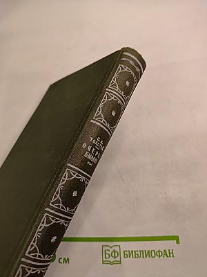 Очерки былого