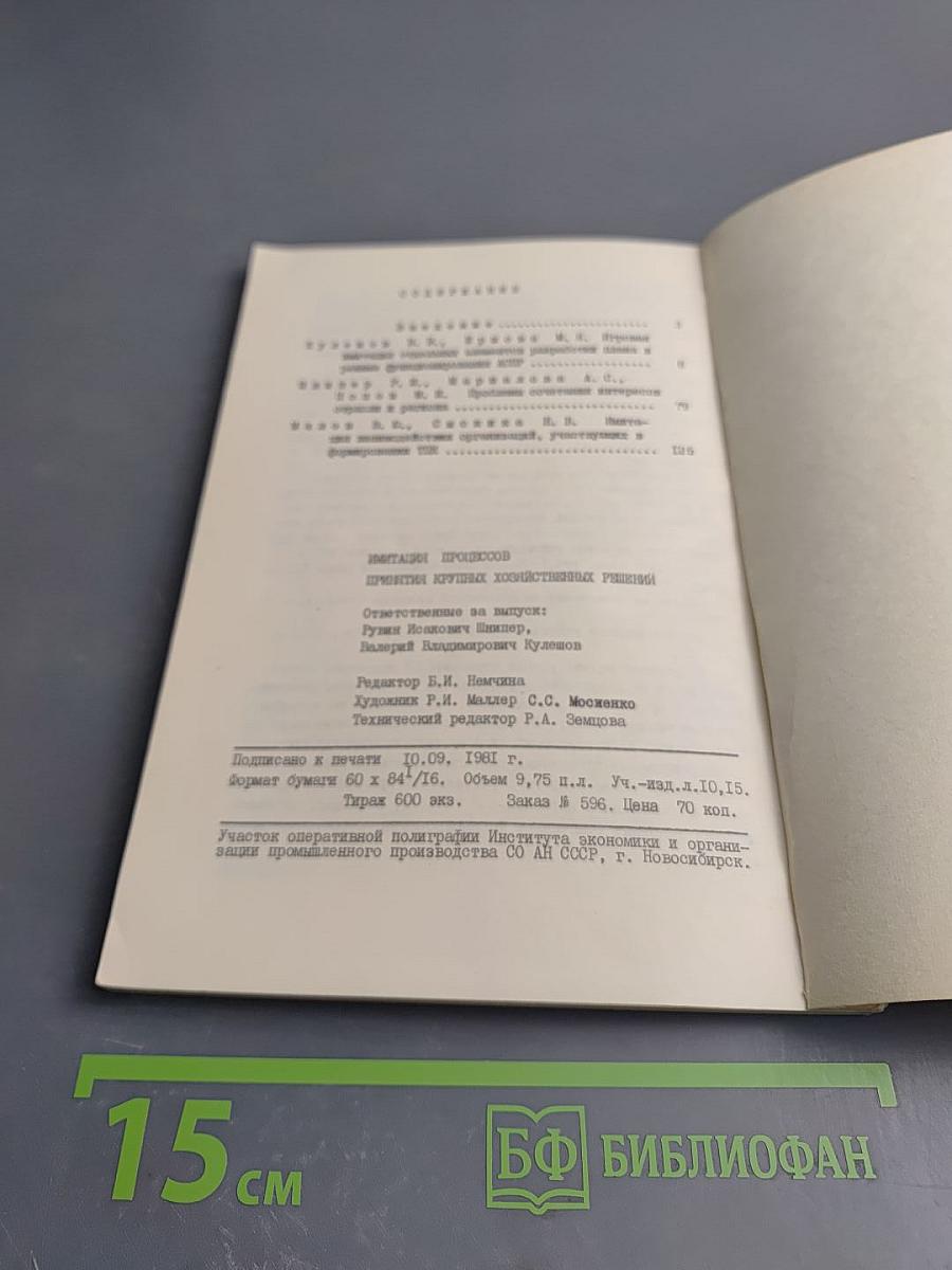 Имитация процессов принятия крупных хозяйственных решений (Методическая разработка)