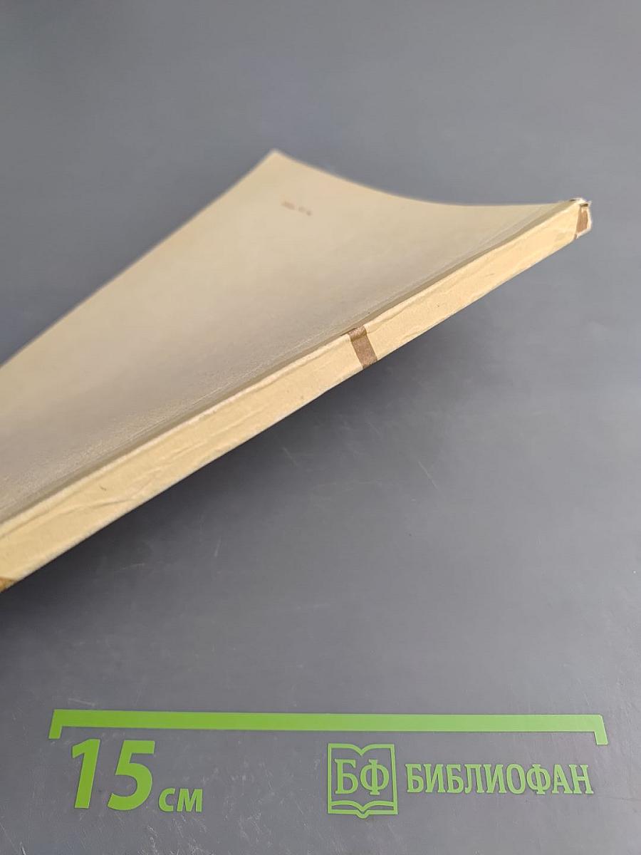 Имитация процессов принятия крупных хозяйственных решений (Методическая разработка)