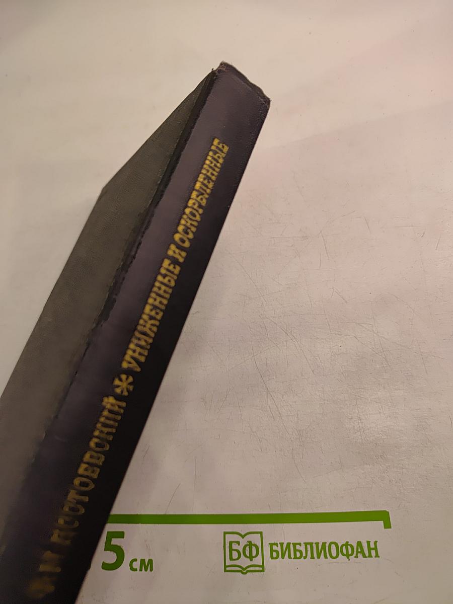 Униженные и оскорбленные