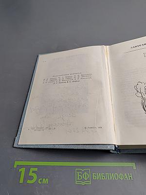 Завтрашние заботы