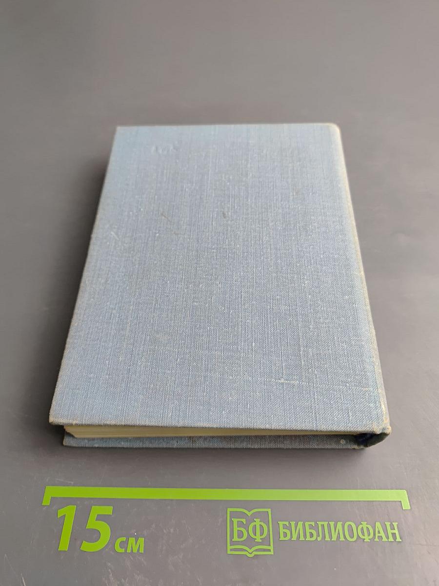 Завтрашние заботы