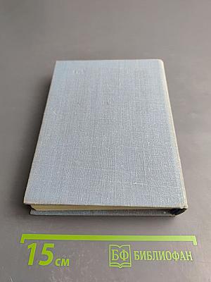 Завтрашние заботы