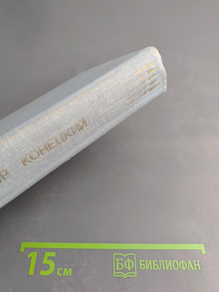 Завтрашние заботы