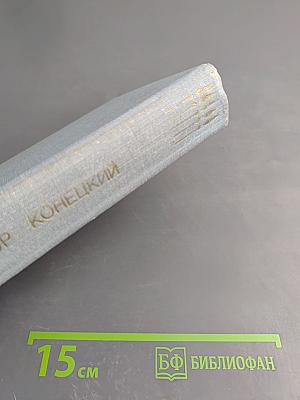 Завтрашние заботы