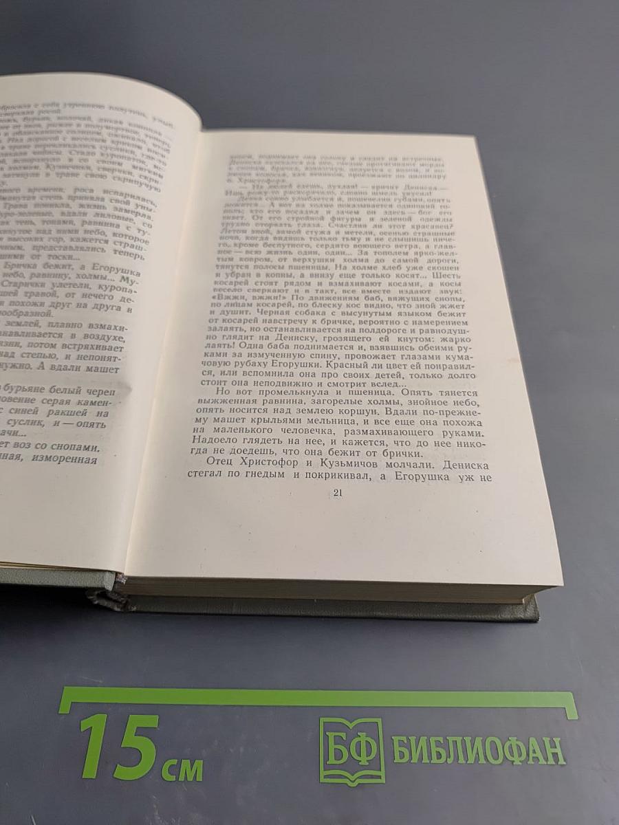 Собрание сочинений. Том шестой. Повести и рассказы 1888-1891