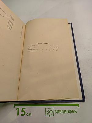 Собрание сочинений. Письма. Том 12