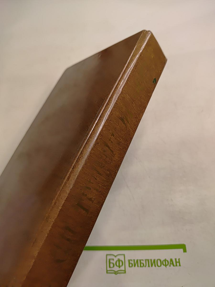 Сергей Петрович Трубецкой: Материалы о жизни и революционной деятельности. Том 2. Письма, Дневник 1857–1858 гг.