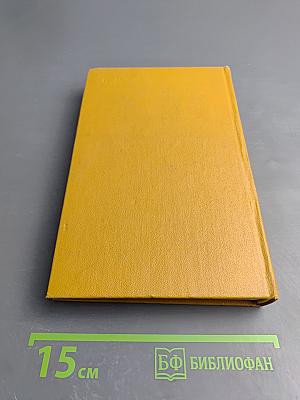 Сочинения. Том 2. Стихотворения и поэмы 1861-1877