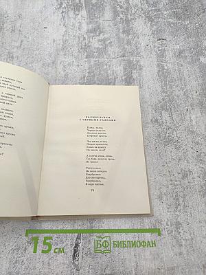 Солнцеворот. Синяя весна