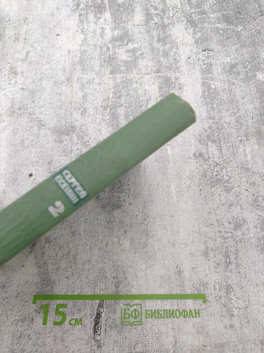 Собрание сочинений. Том второй. Стихотворения. Драматические поэмы (Октябрь 1917–1923)