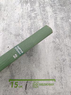 Собрание сочинений. Том второй. Стихотворения. Драматические поэмы (Октябрь 1917–1923)