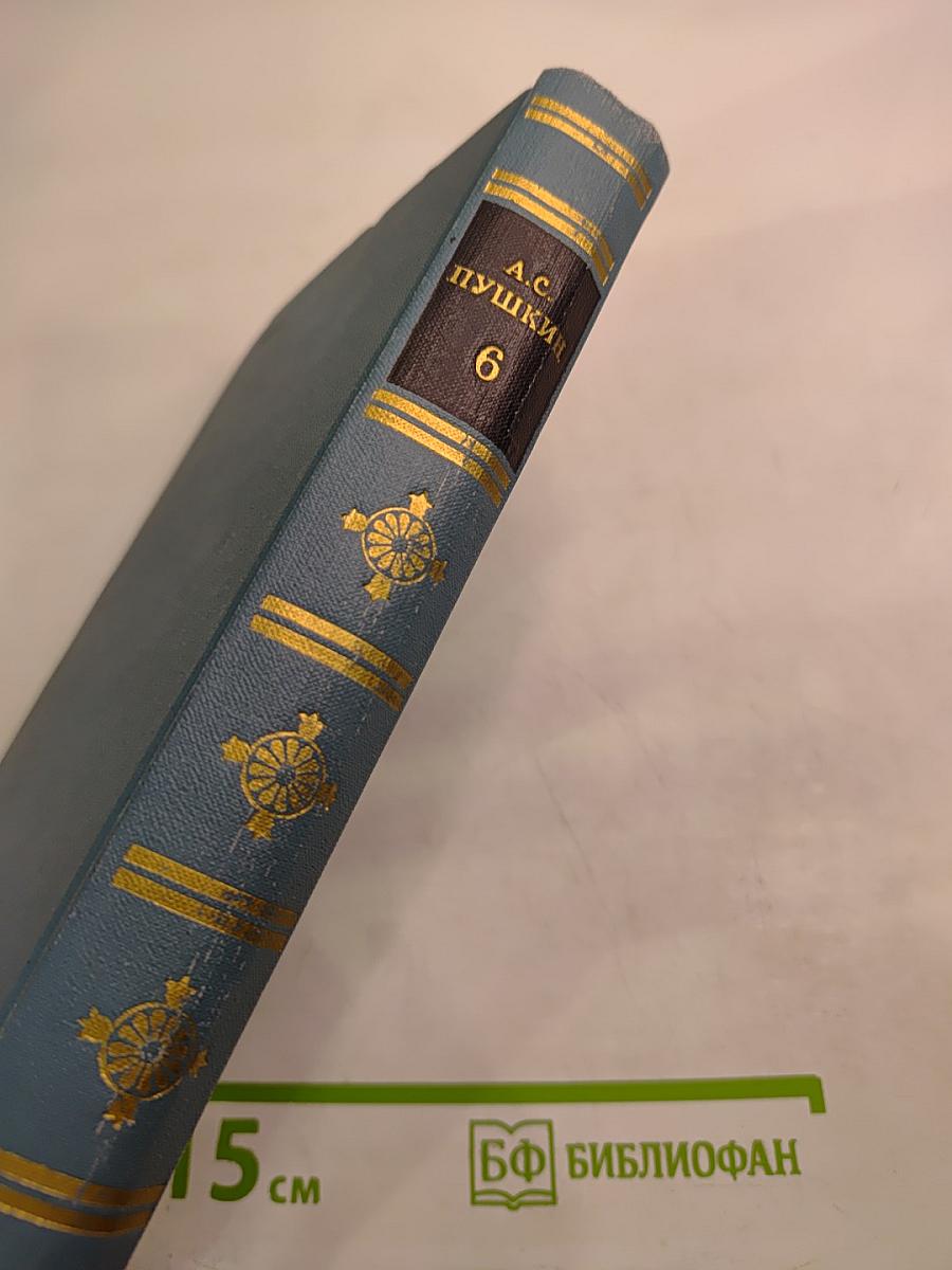 Собрание сочинений в десяти томах. Том 6