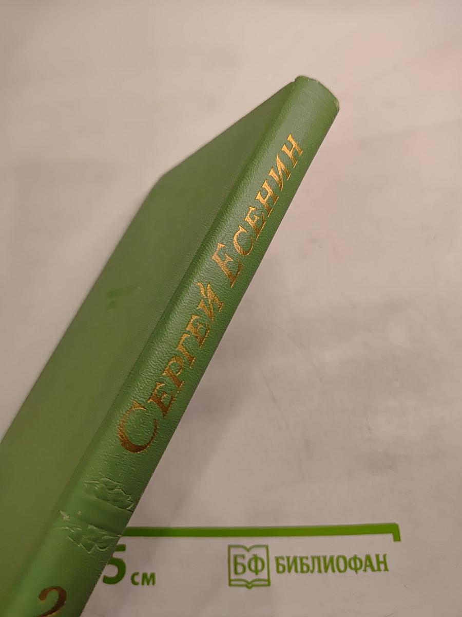 Стихотворения, поэмы. Том второй