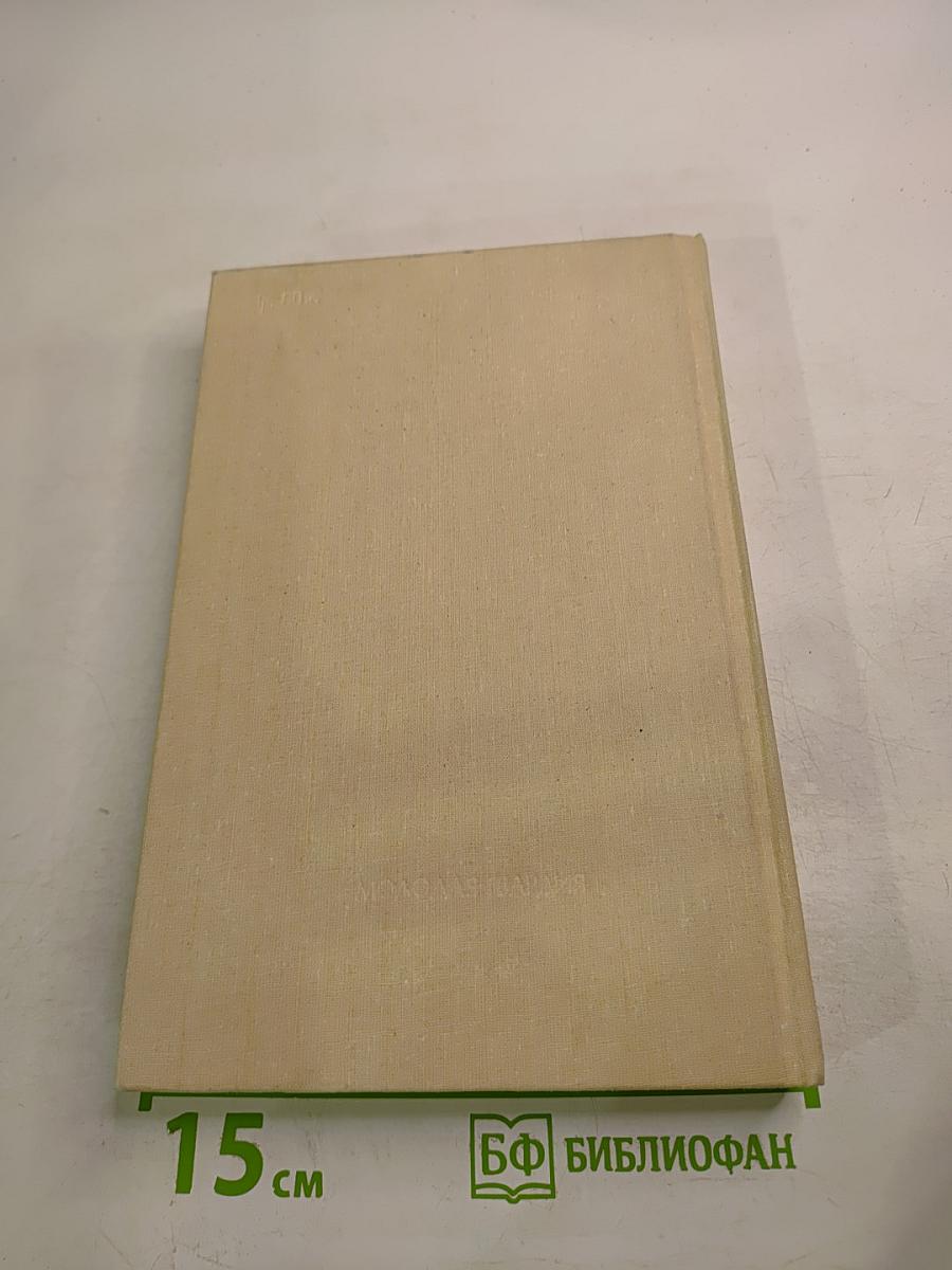 Певец во стане русских воинов