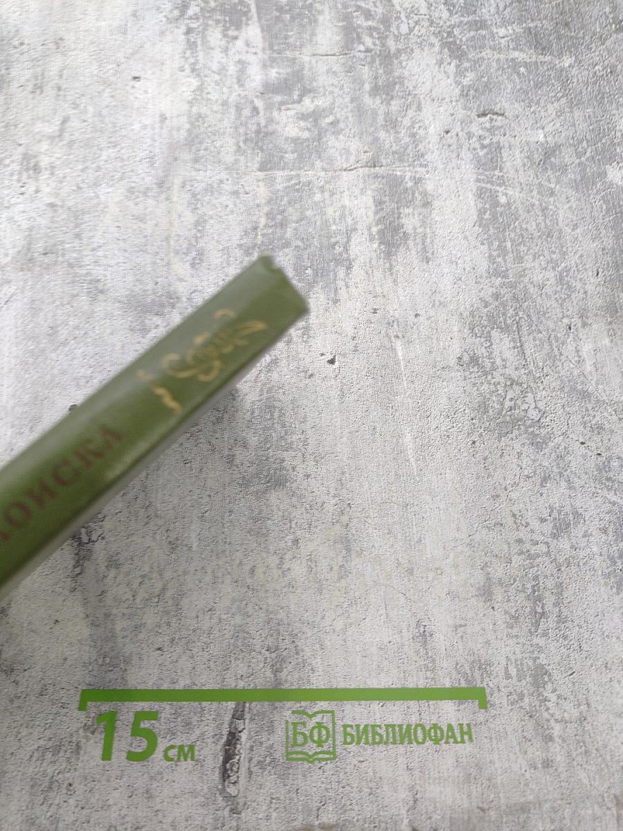 На крутизне поиска