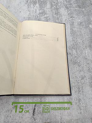 Черты из жизни Пепко. Ранние всходы