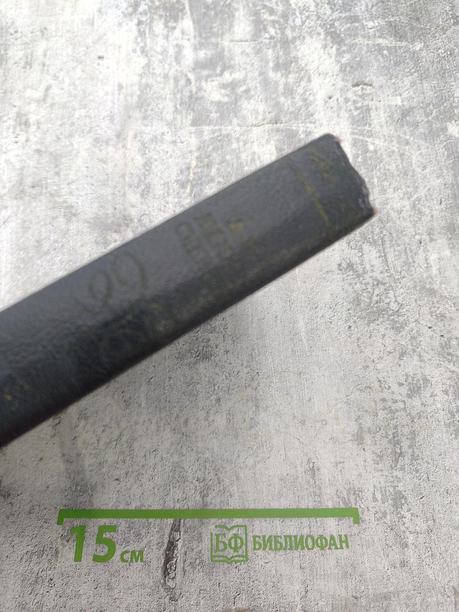 Черты из жизни Пепко. Ранние всходы