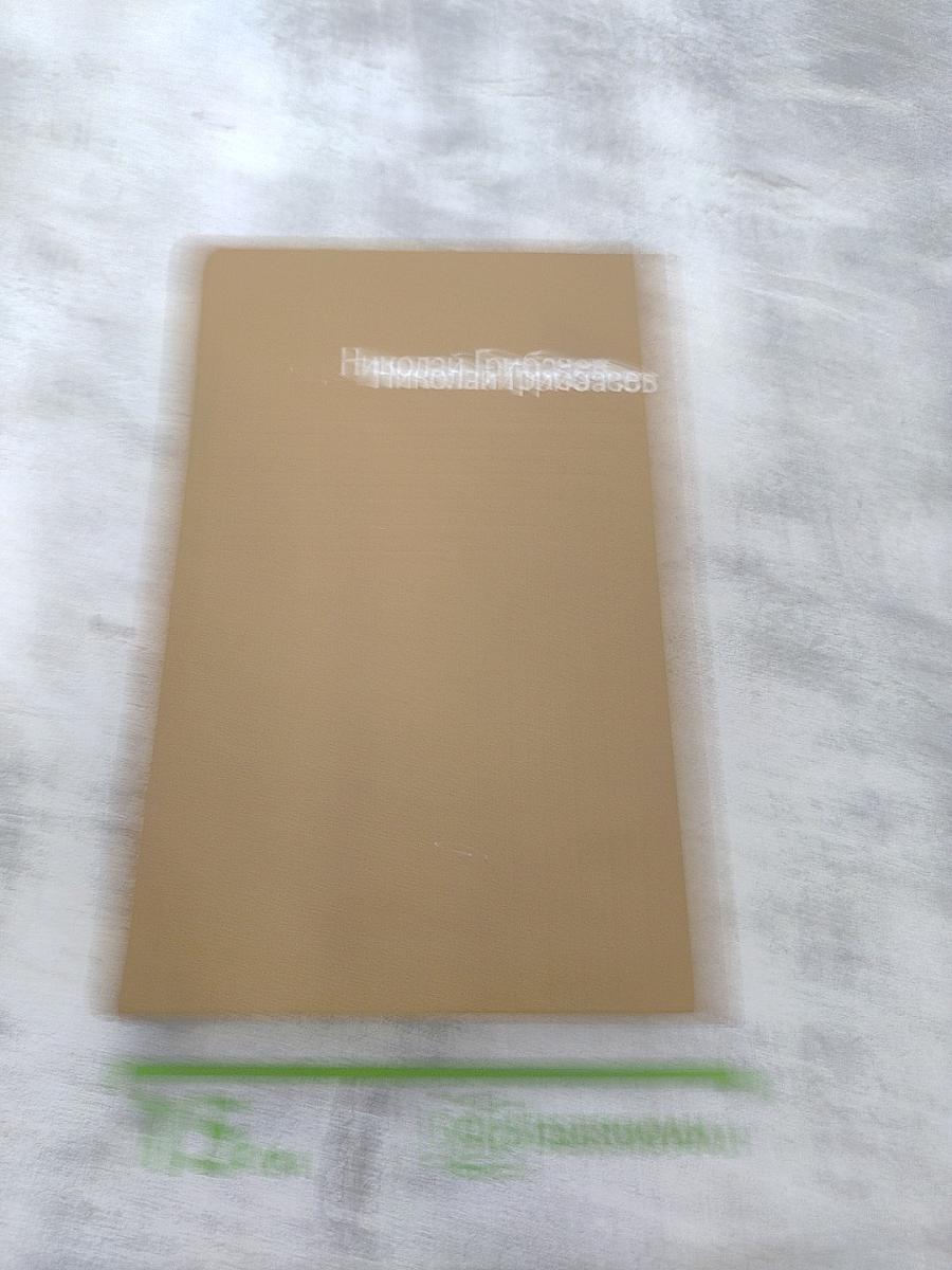 Собрание сочинений. Том четвертый: Путешествия, Полемика
