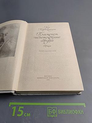 Пламенем испепеленные сердца