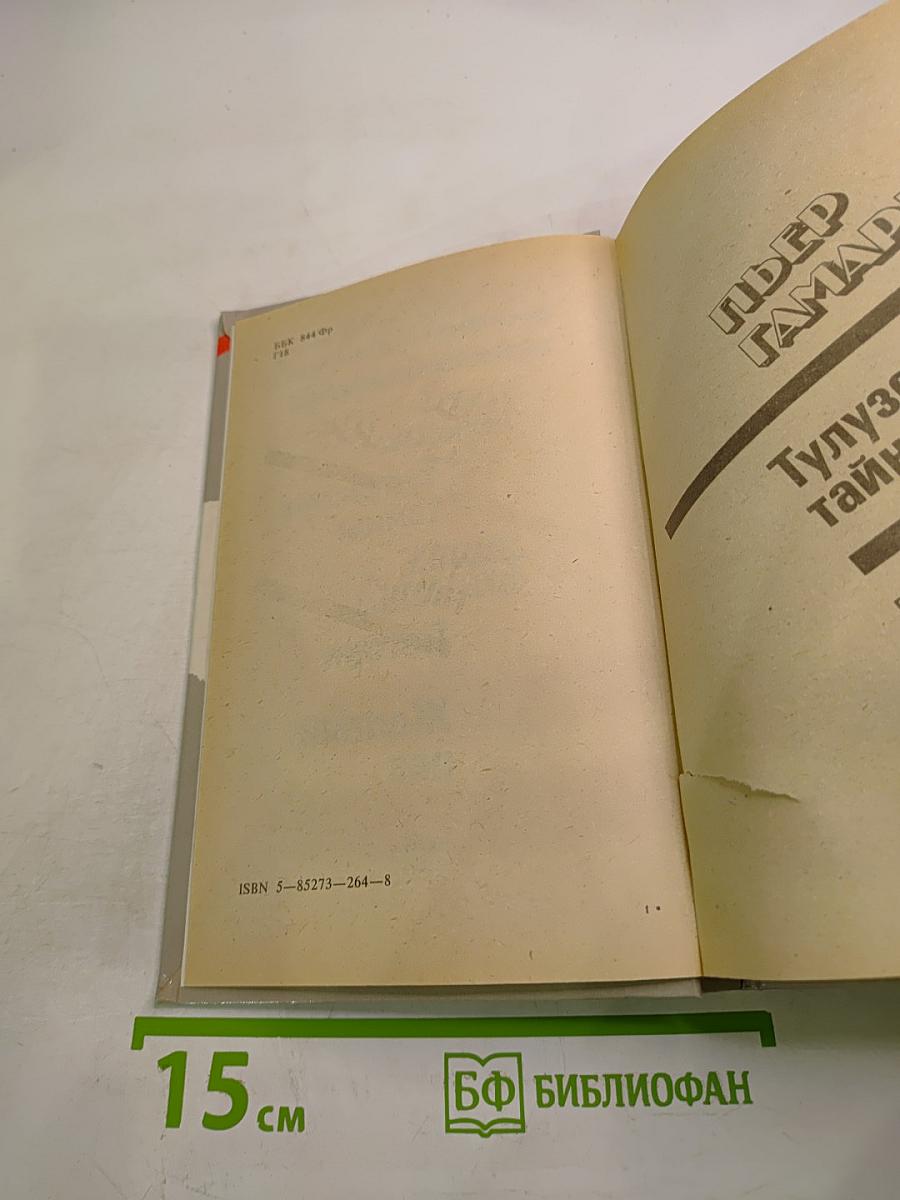 Тулузские тайны. Погоня. Желтый пес