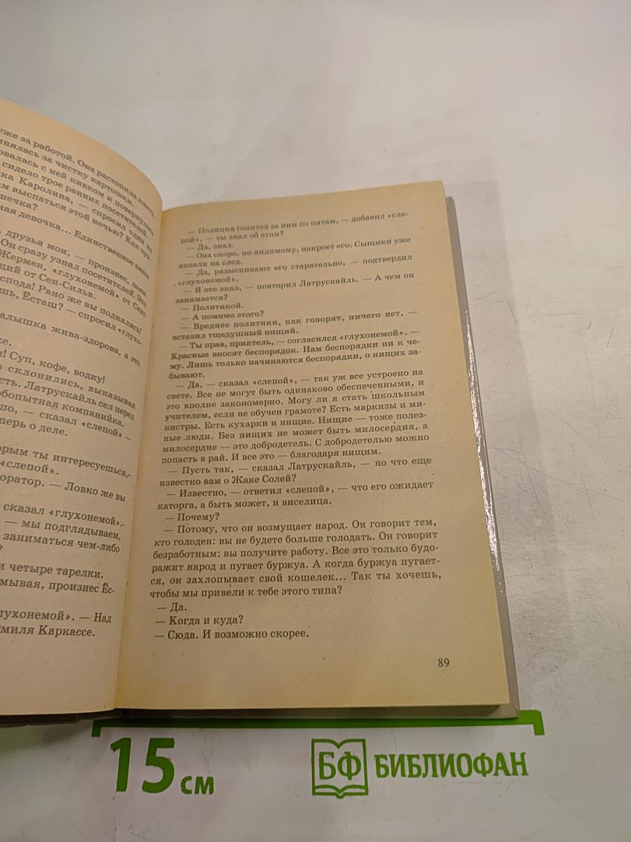 Тулузские тайны. Погоня. Желтый пес