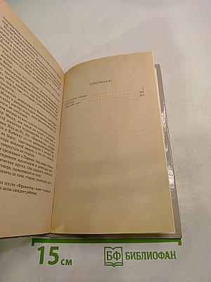 Тулузские тайны. Погоня. Желтый пес