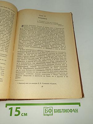 Капитанская дочка. Дубровский
