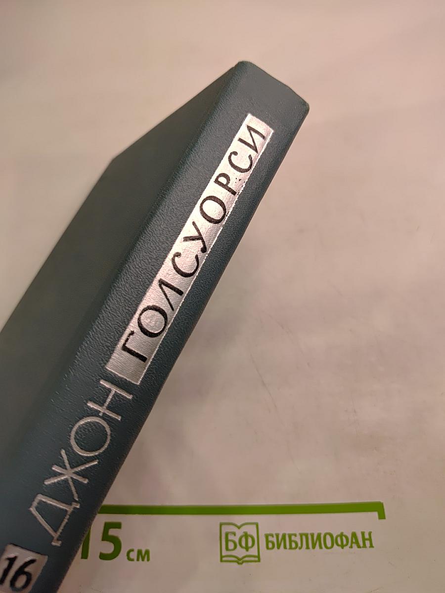 Собрание сочинений в шестнадцати томах. Том 16